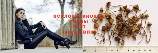 герыч Коряжма