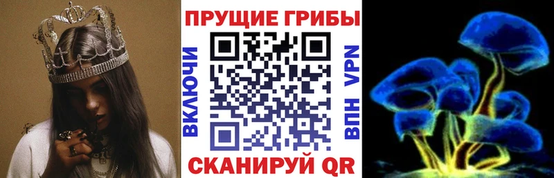 Купить закладки  Грайворон  Псилоцибиновые грибы мицелий 